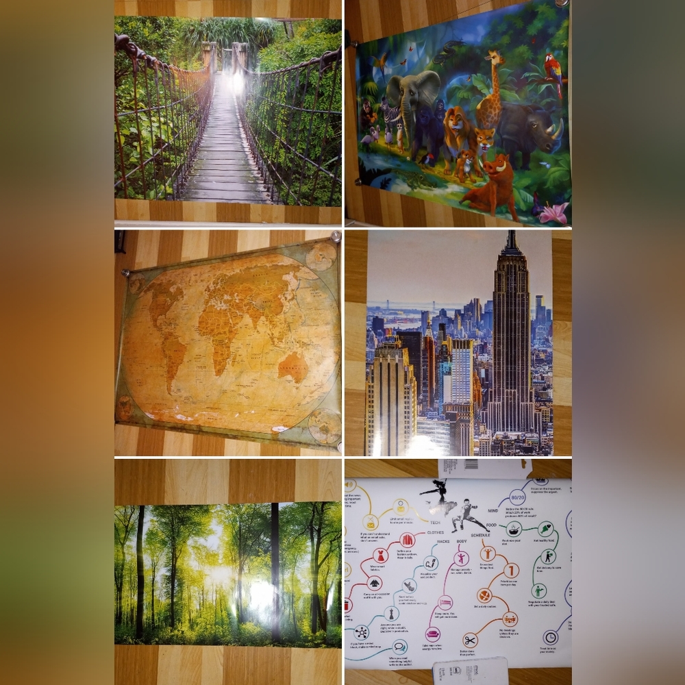 3 Huge Posters (55" x 39") + 1 reversible large + 1 reversible small